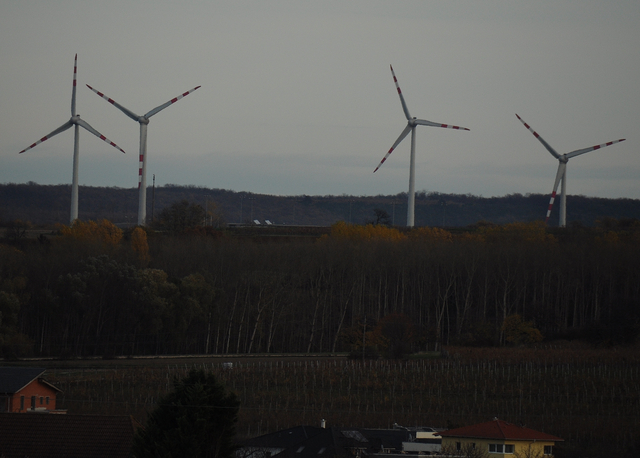 WindEnergieBurgenlandFotoPrinz