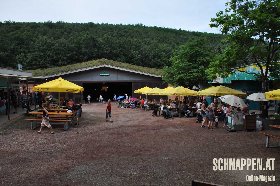 WiesenFestivalgelaendeFotoPrinz