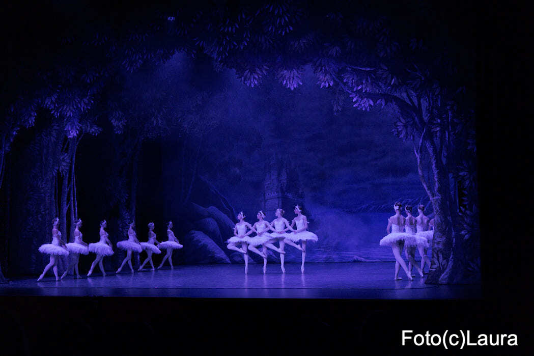 SchwanenseeFotocLauraMendes9