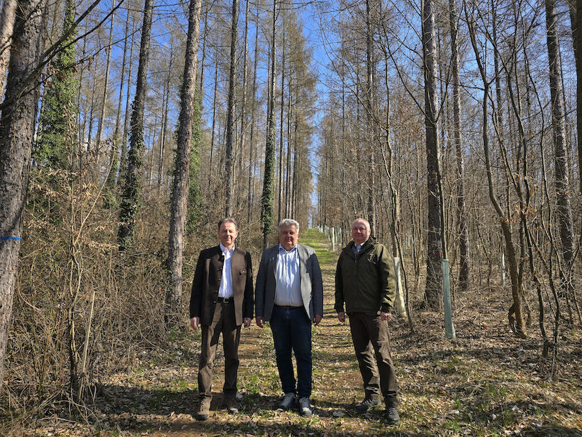 TagdesWaldesBerlakovichIglerStummerFotocLKBgldTeschWessely