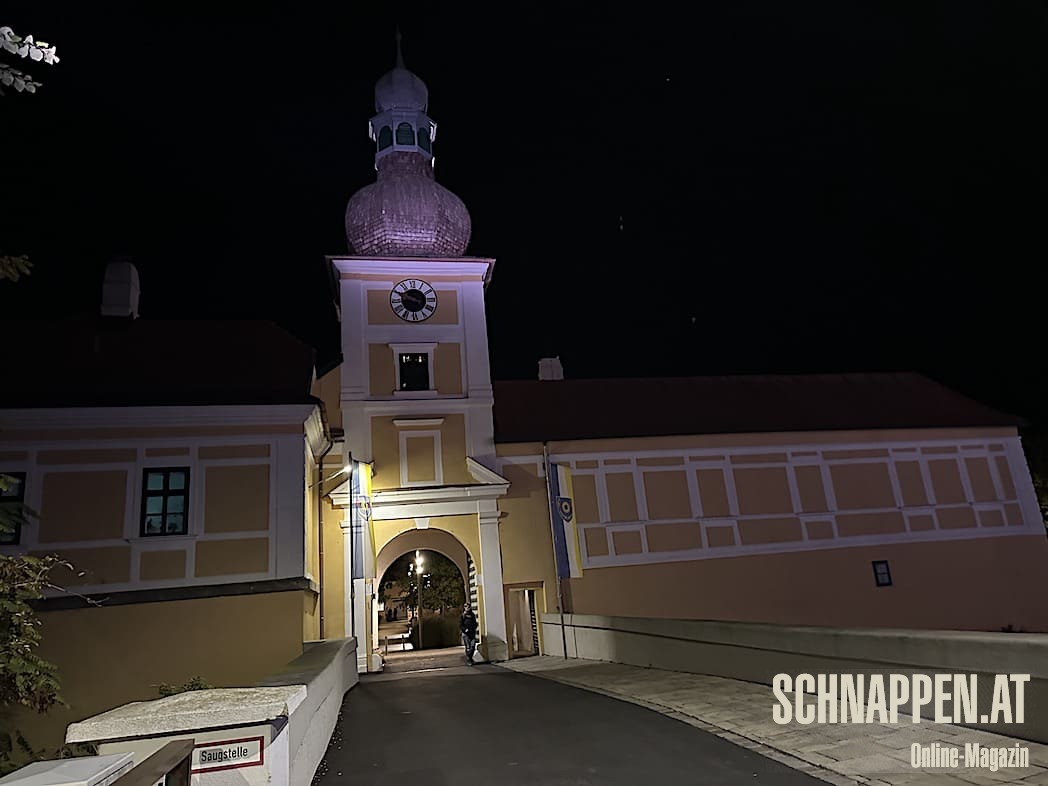 ShantaNoirFotocPrinzSCHNAPPENat39